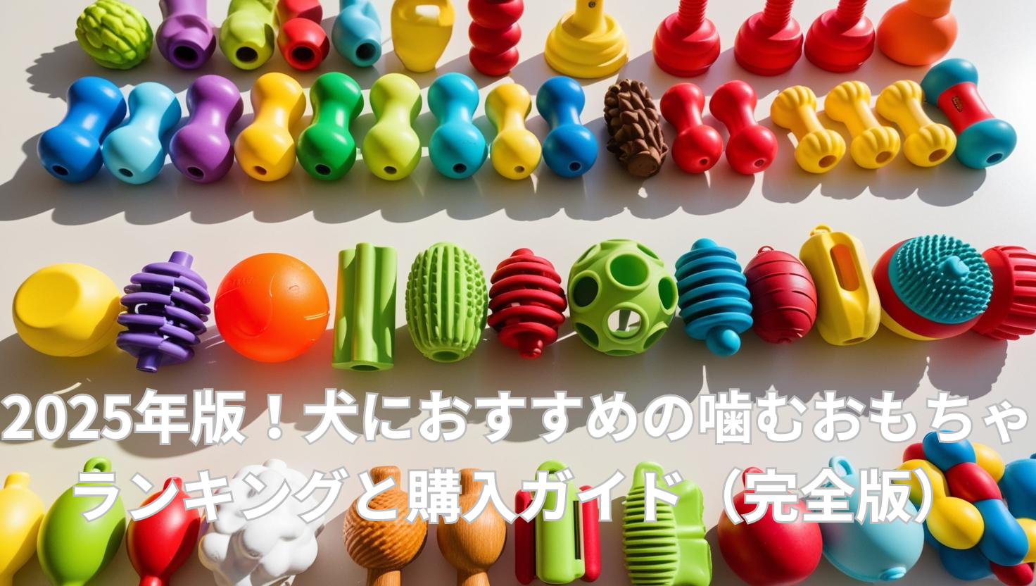 2025年版犬用噛むおもちゃランキングTOP10が並ぶカタログ写真