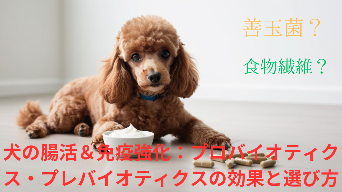 犬の腸活＆免疫強化：プロバイオティクス・プレバイオティクスの効果と選び方