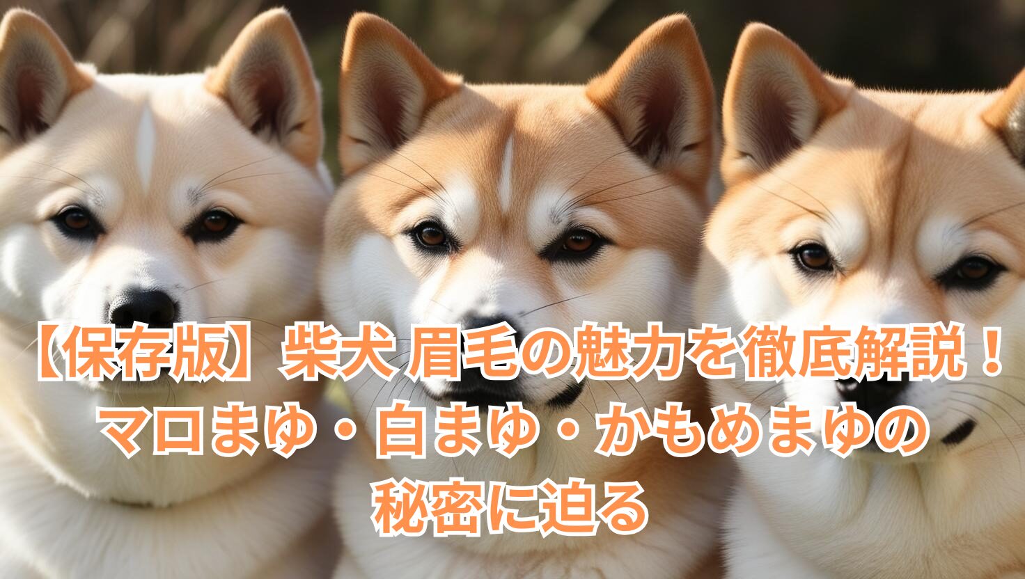 緑の背景で笑顔の柴犬が正面を向き、特徴的な眉毛がはっきりと見える写真。マロまゆや白まゆ、かもめまゆなど、柴犬の眉毛の違いをイメージさせる構図