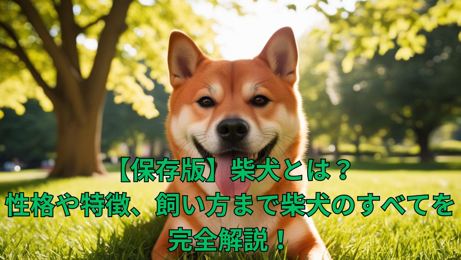 公園で笑顔を見せるかわいい赤柴犬の写真
