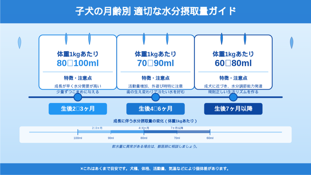 子犬 水分量 月齢別に示したタイムライン式インフォグラフィック。2～3ヶ月、4～6ヶ月、7ヶ月以降の目安を比較した画像