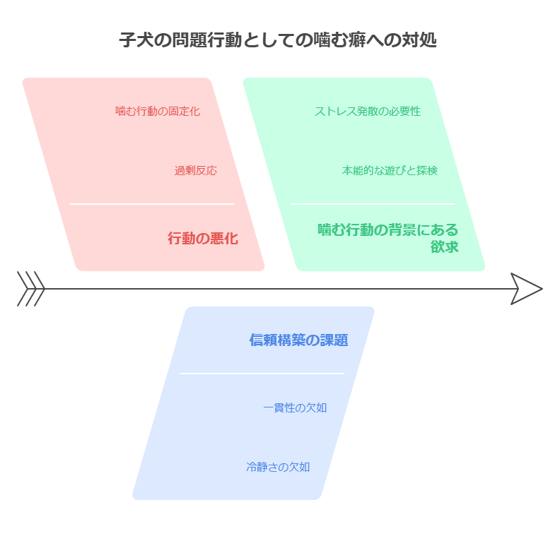 問題行動としての噛む癖への対処法を示すチェックリスト図解